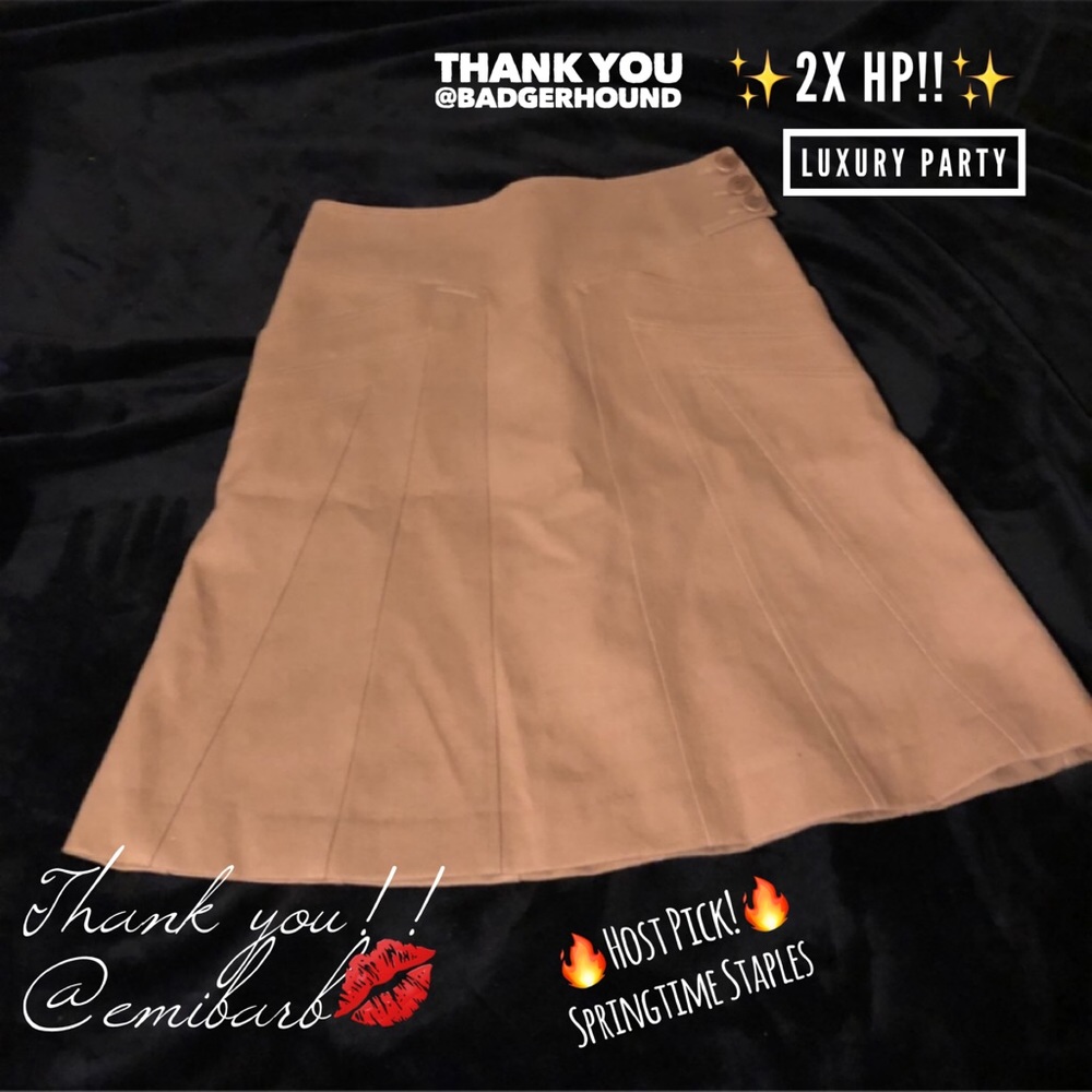 🌟Chloé Argile Aline Midi Skirt Size 6 🌟 RARE!!